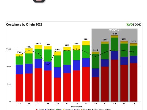 El mercado de aguacates en EE. UU. alcanza su mayor volumen en 16 semanas impulsado por México y Perú