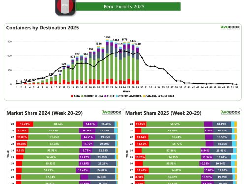 Exportaciones de aguacate desde Perú caen levemente pero se mantienen por encima del año pasado