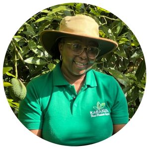 Aguacate keniano: crecimiento estratégico frente a desafíos globales