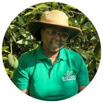 Aguacate keniano: crecimiento estratégico frente a desafíos globales