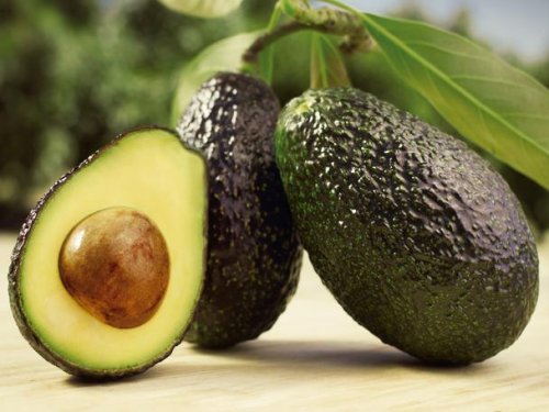 Más fruta, menos espacio: el reto de Colombia en EE.UU.