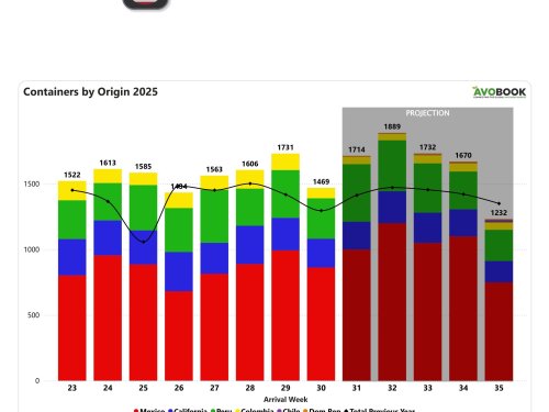 Volumen de aguacate en EE.UU. cae un 15% semanal, pero supera cifras del año pasado