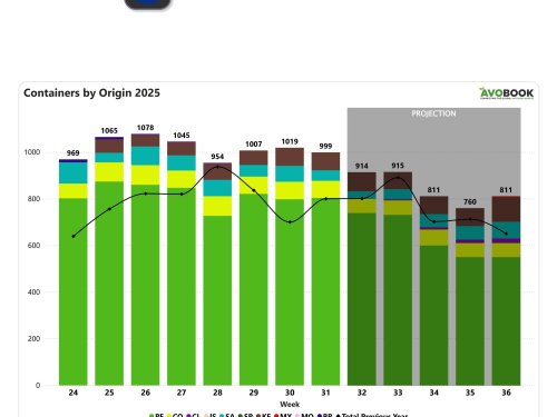 Sudáfrica reduce sus envíos de aguacate a Europa en un 34% mientras el resto se mantiene estable