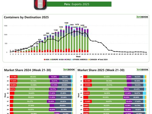 Volumen exportado de aguacate desde Perú se mantiene por encima de 1.300 contenedores por segunda semana