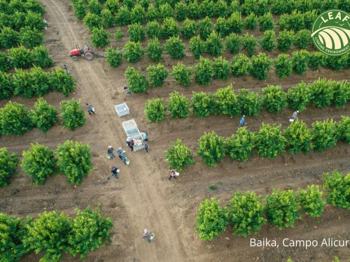 Baika Chile fortalece su compromiso con la sostenibilidad mediante la certificación LEAF Marque