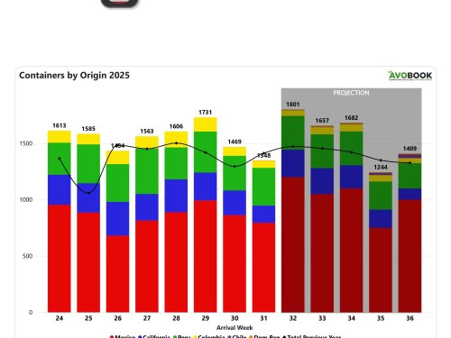 Ingresos de aguacate en EE. UU. caen pese al repunte de Perú