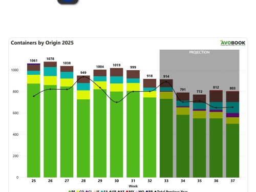 Europa recibe menos aguacate en la semana 32, pero precios se mantienen estables
