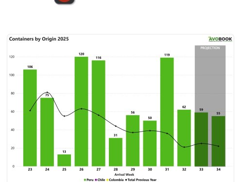 Caen los envíos de aguacate a China, pero algunos calibres mejoran en precio