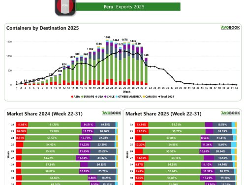 Exportaciones peruanas de aguacate caen por debajo de los 1,000 contenedores por primera vez desde abril