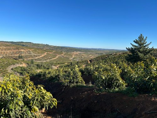 Huertos de Ucuquer: donde la sustentabilidad y la excelencia agrícola se unen para conquistar los mercados del mundo