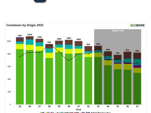 Colombia aumenta envíos de aguacates a Europa mientras Kenia y Tanzania reducen participación