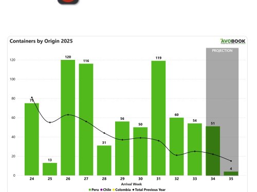 Precios de aguacates en China caen 59% respecto al año pasado