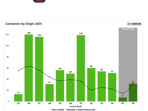 Perú empieza a ceder espacio en China mientras se espera la entrada de Chile