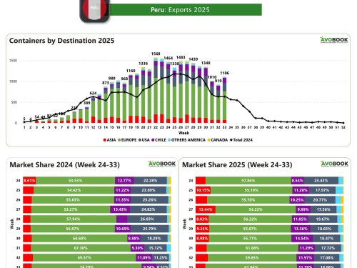 Exportaciones peruanas de aguacate hacia Europa crecen 20% en una semana
