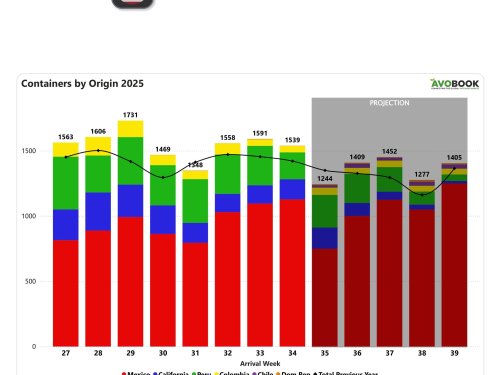 El aguacate en EE. UU. baja en precios mientras México refuerza su dominio
