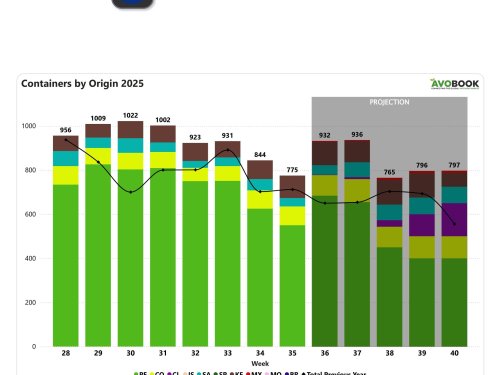 España registra aumentos de hasta 50% en el aguacate mientras Kenia y Tanzania ganan terreno