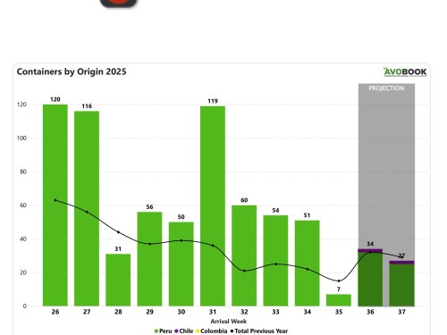 Retrasos portuarios y menor oferta de Perú afectan el abastecimiento de aguacate en China