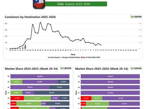 Chile acelera envíos de aguacate, aunque sigue por debajo de 2024
