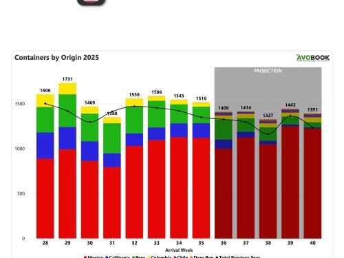 Llegadas de aguacate a Estados Unidos caen 12% frente al año pasado