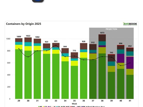 Europa recibe 928 arribos de aguacate en la semana 36, un 43% más que en 2024