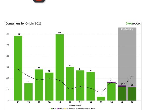 Chile debuta en el mercado chino con 6% de participación en la semana