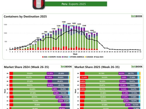 Perú incrementa sus exportaciones con Europa como principal destino