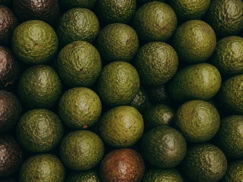 Argentina will surpass the rate of avocado imports in 2026.