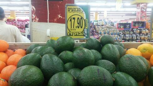 Aguacate israelí pierde terreno en Europa pese a mantener volúmenes de exportación