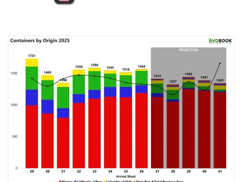 Perú crece 24% en envíos de aguacate a EE. UU., mientras Colombia retrocede 56%