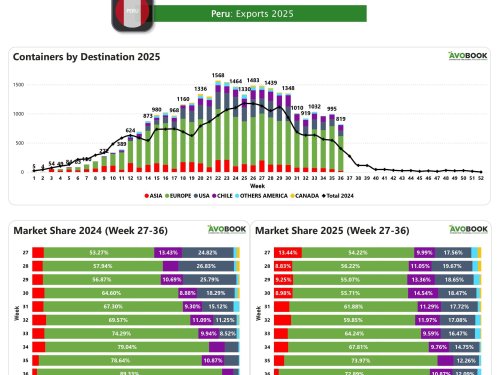 Perú reduce envíos semanales de aguacate pero duplica volumen frente a 2024