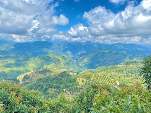 Baika celebra la chilenidad y la fuerza del campo en estas Fiestas Patrias