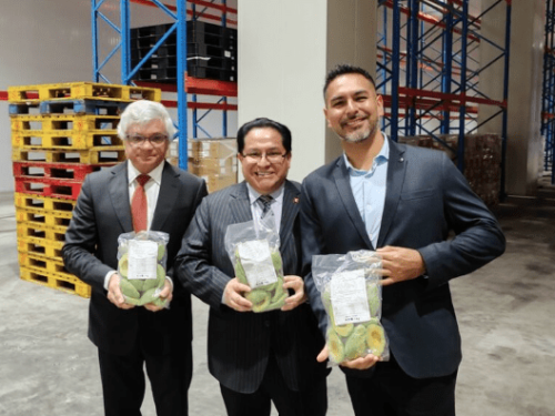 Palta congelada peruana llega a China en primer envío histórico