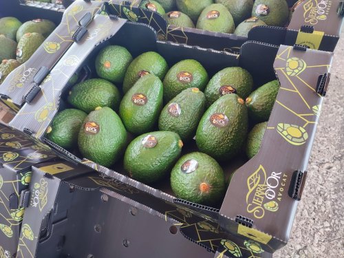 Transición del aguacate en Europa: entre la salida de Perú y el protagonismo de nuevos orígenes