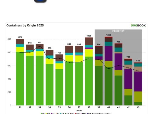 Europa recibe 1.025 contenedores de aguacate con alza de 46% frente a misma semana en 2024