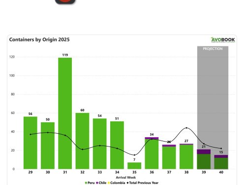 Arribos de aguacate a China caen 39% frente a 2024