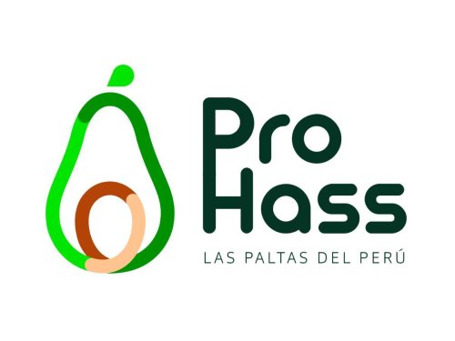 Perú cierra su campaña de palta Hass 2025 con un crecimiento del 37% y consolida su liderazgo en los principales mercados internacionales