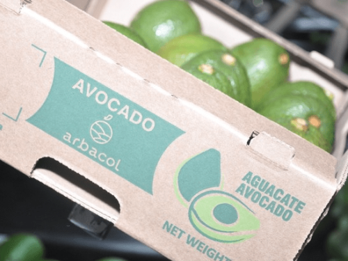 Colombia afianza su posición en el mercado europeo del aguacate