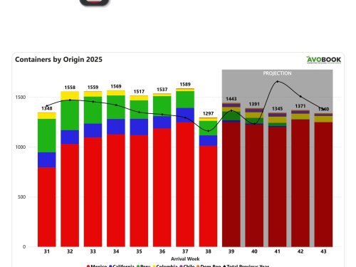 Estados Unidos: volúmenes caen 18% en la semana 38, aunque se mantienen 12% por encima de 2024