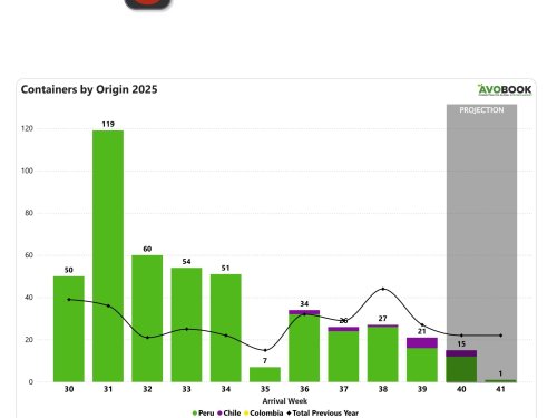 China recibe 21 embarques de aguacate, 22% menos que la semana anterior