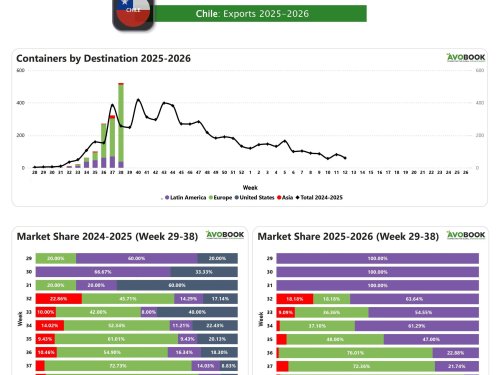 Chile refuerza su presencia en Europa con 473 contenedores en una sola semana