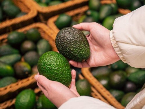 Precios del aguacate en Estados Unidos llegaron a los más bajos en 7 años: ¿Se recuperarán con la arremetida de México?