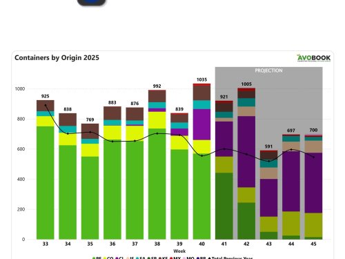 Europa registra repunte de arribos de aguacate y alzas en precios de calibres pequeños