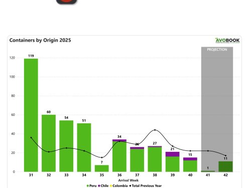 China reduce su recepción de aguacates y los precios caen a niveles inferiores a los de años anteriores