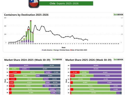 Exportaciones caen 56% tras semana atípica, pero Europa sigue concentrando el destino principal