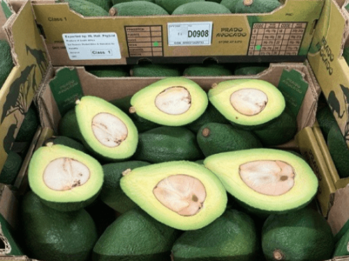 Grecia mantiene su dependencia de los aguacates peruanos ante la baja oferta global