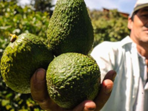 Corea: una oportunidad para enfrentar el estancamiento de China y Japón en el mercado asiático