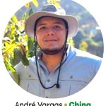 Septiembre 2025: Inicio con poca oferta, precios en alza y llegada de aguacate Hass chino