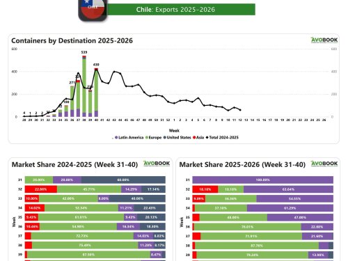 Exportaciones chilenas de aguacate crecen 82% semanalmente y se expanden en Europa, Asia y Latinoamérica