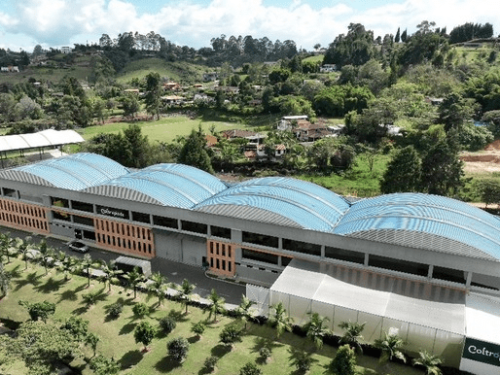 La pulpa congelada impulsa la expansión del aguacate colombiano en nuevos mercados