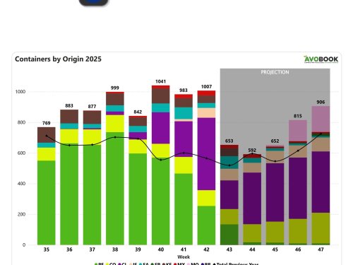 Chile se convierte en el principal proveedor de aguacate en Europa con el 47% de participación